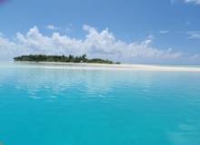 Maldive Alternative
